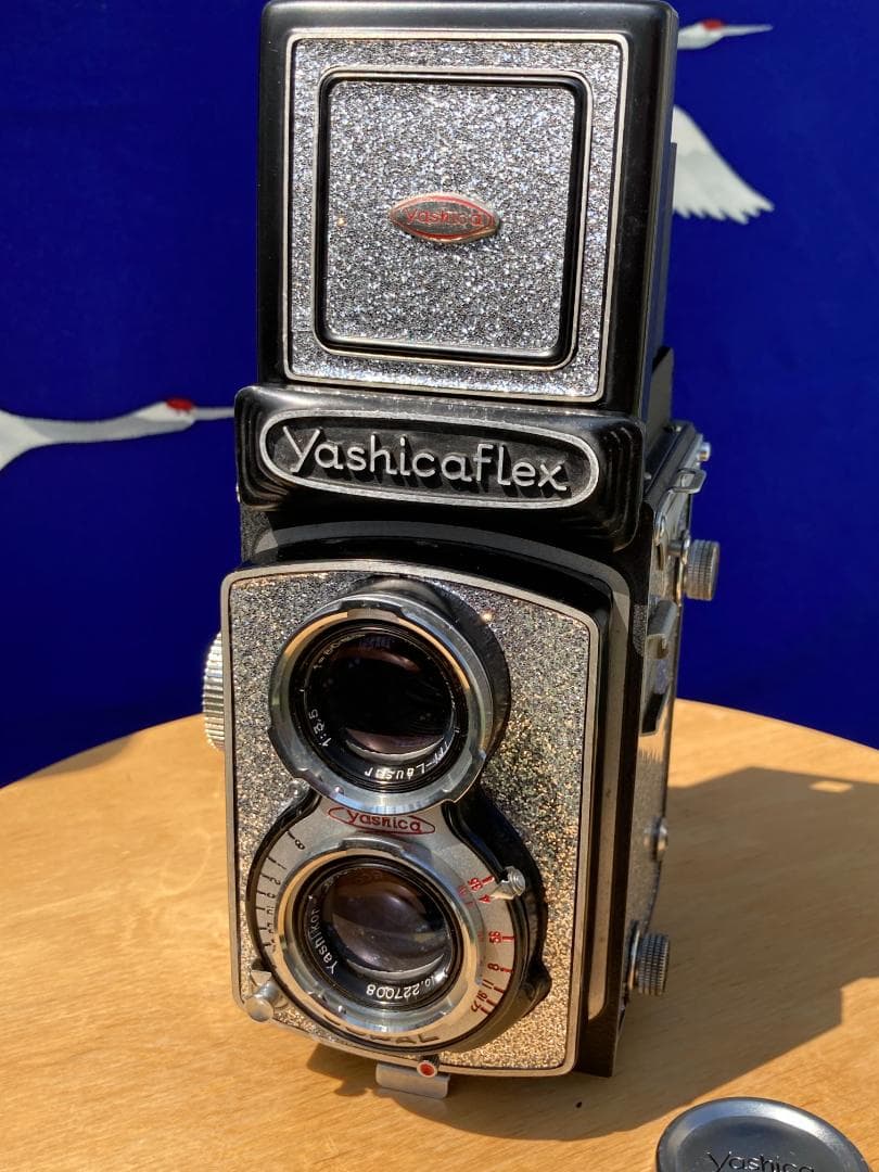 爽やかな風に乗って　キラキラ感２ＵＰ　YASHICA FLEX インテリアにも