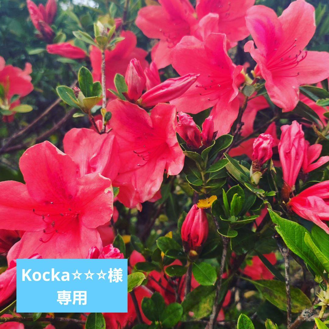 Kocka⭐︎⭐︎⭐︎CD