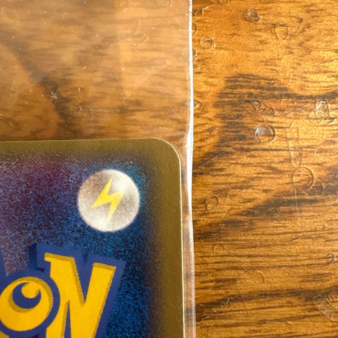 ポケパークのミズゴロウ