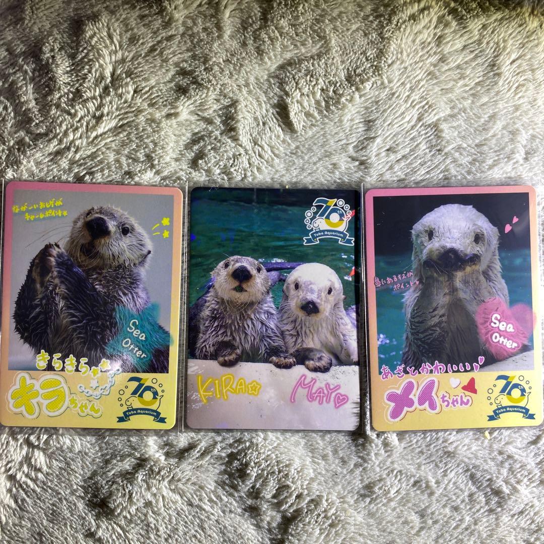 鳥羽水族館コレクションカード　キラメイ