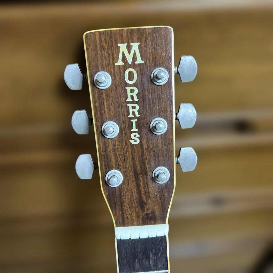 MORRIS アコースティックギター ドレッドノート