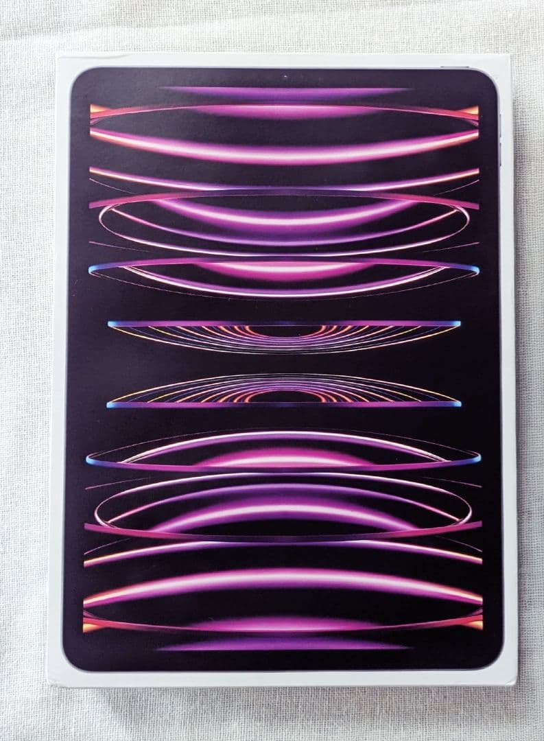 Apple iPad Pro 11インチ 第4世代　スペースグレー 本体