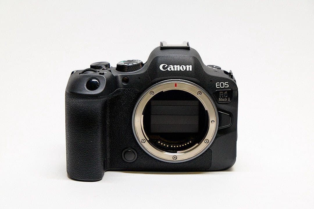 宮*下様 Canon EOS R6 Mark II 本体と付属品