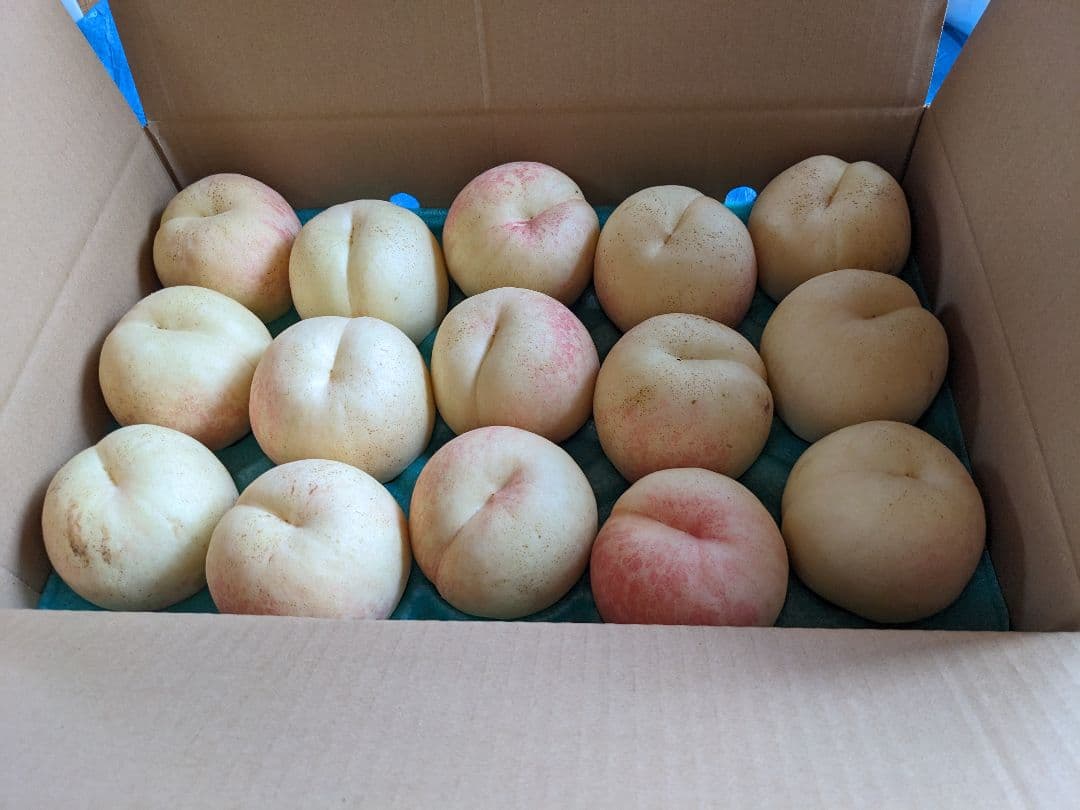 本日終了！桃☆CX(シーエック)大玉15個　5キロ箱　箱込み6.5キロ