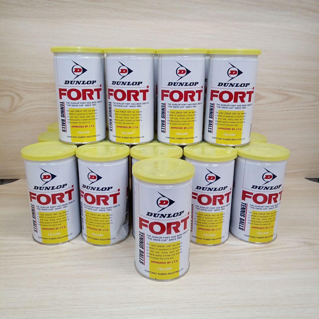 DUNLOP/ダンロップ テニスボール FORT 2球入×24缶