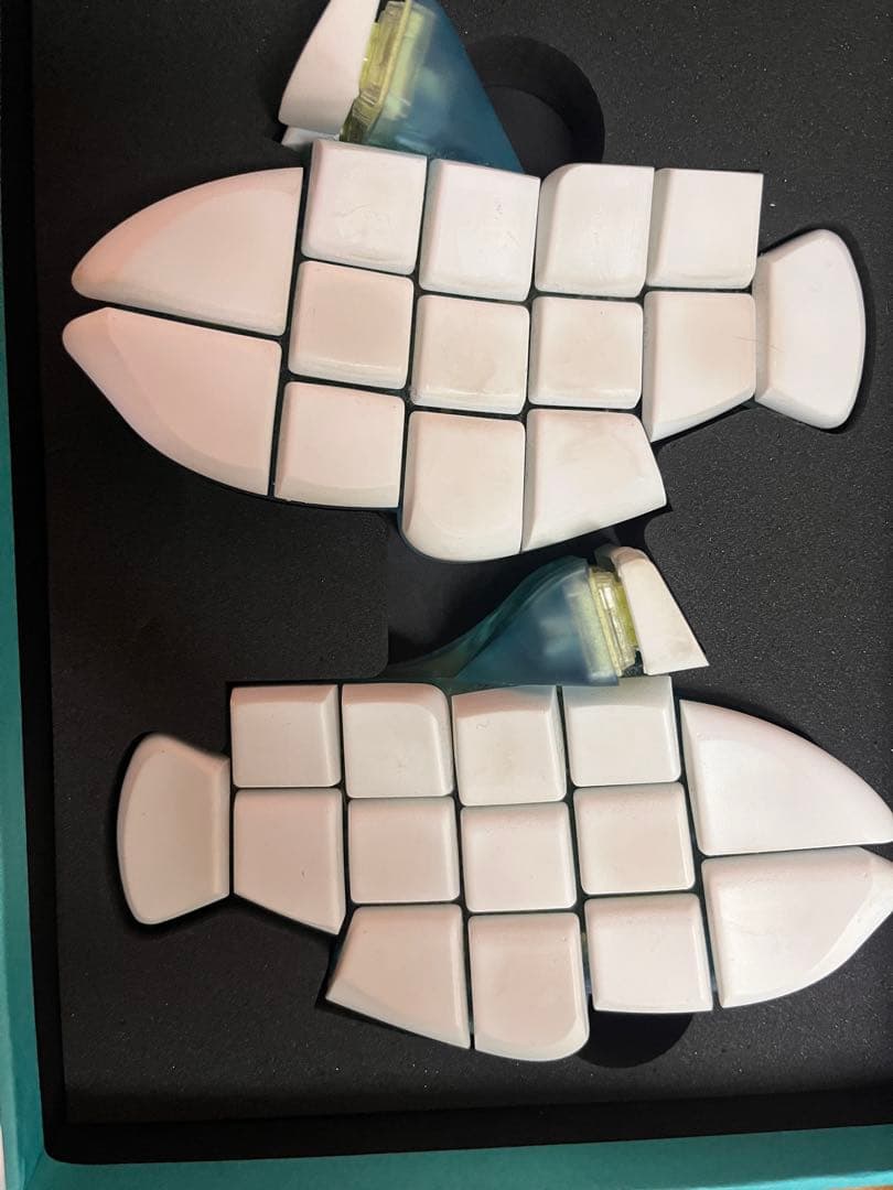 おさかなキーボード　大西拓磨