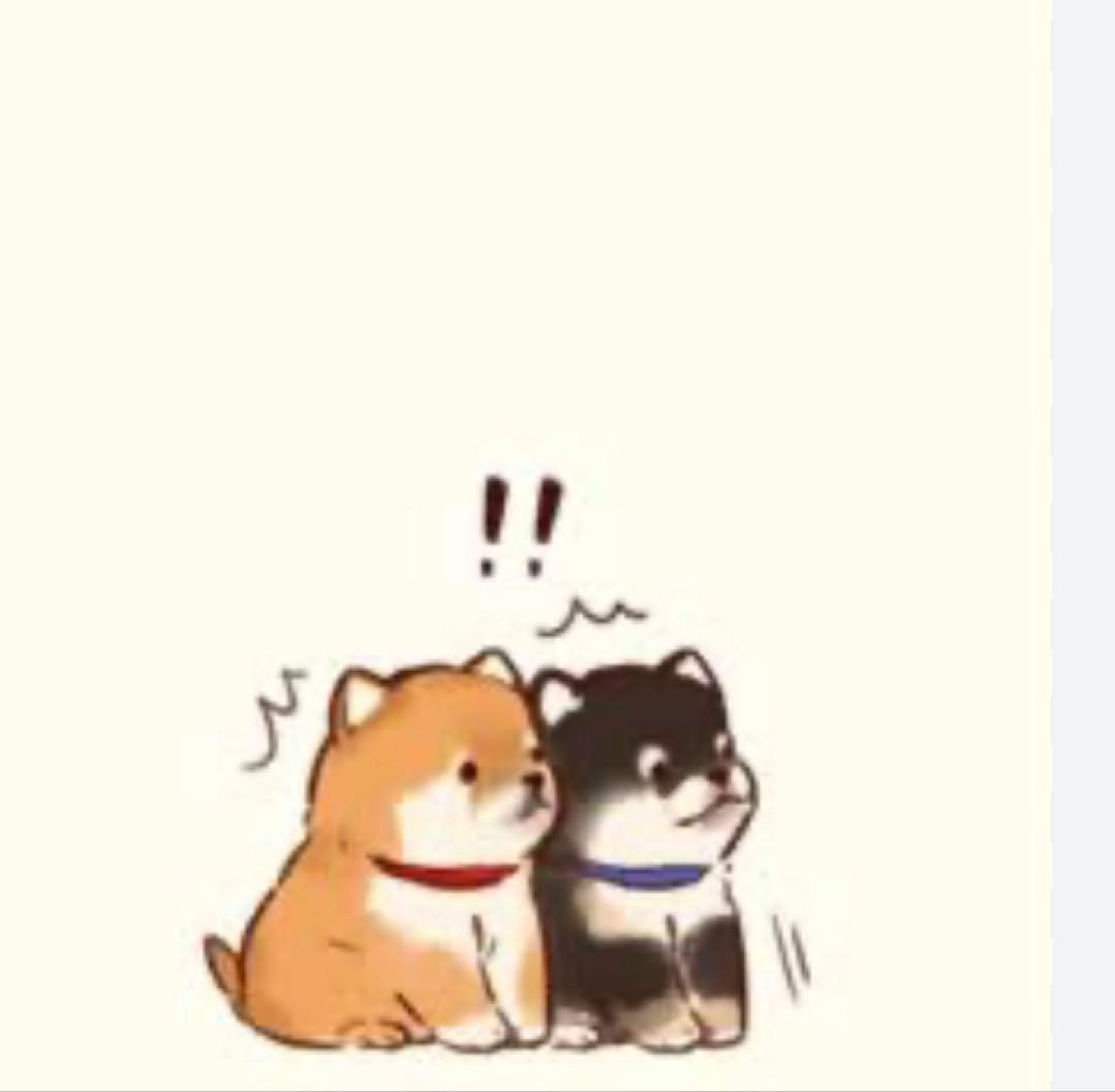 ボディローション rui