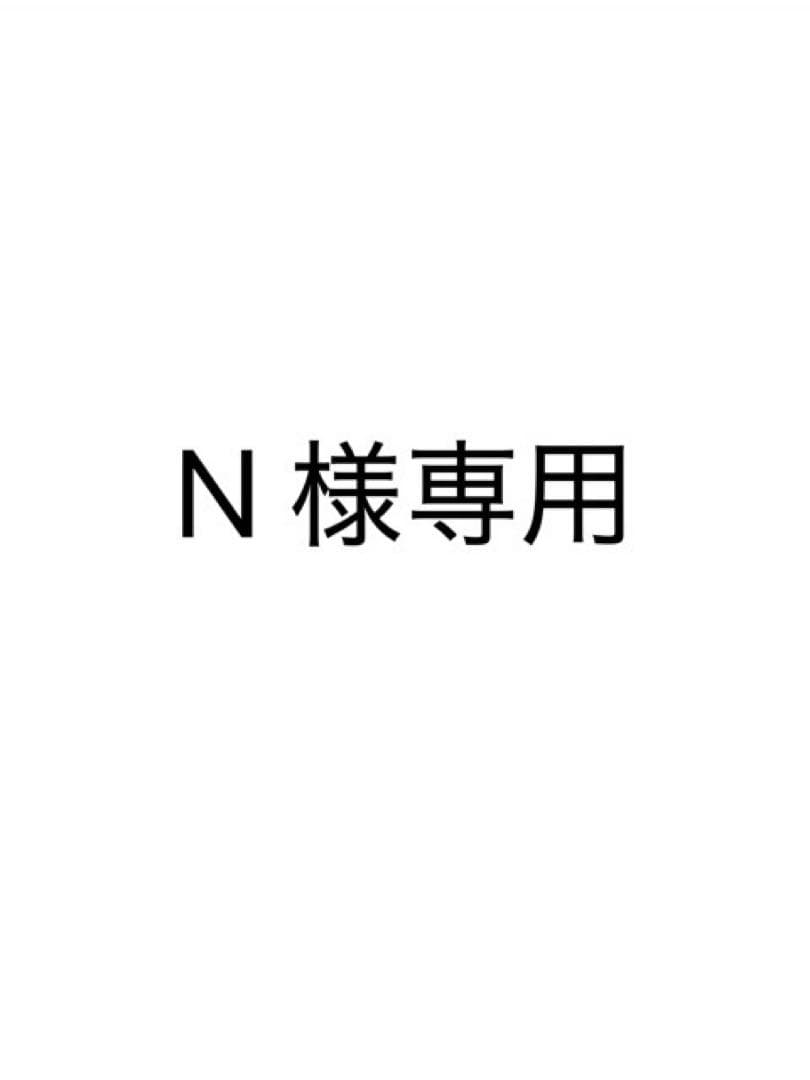 N ページ