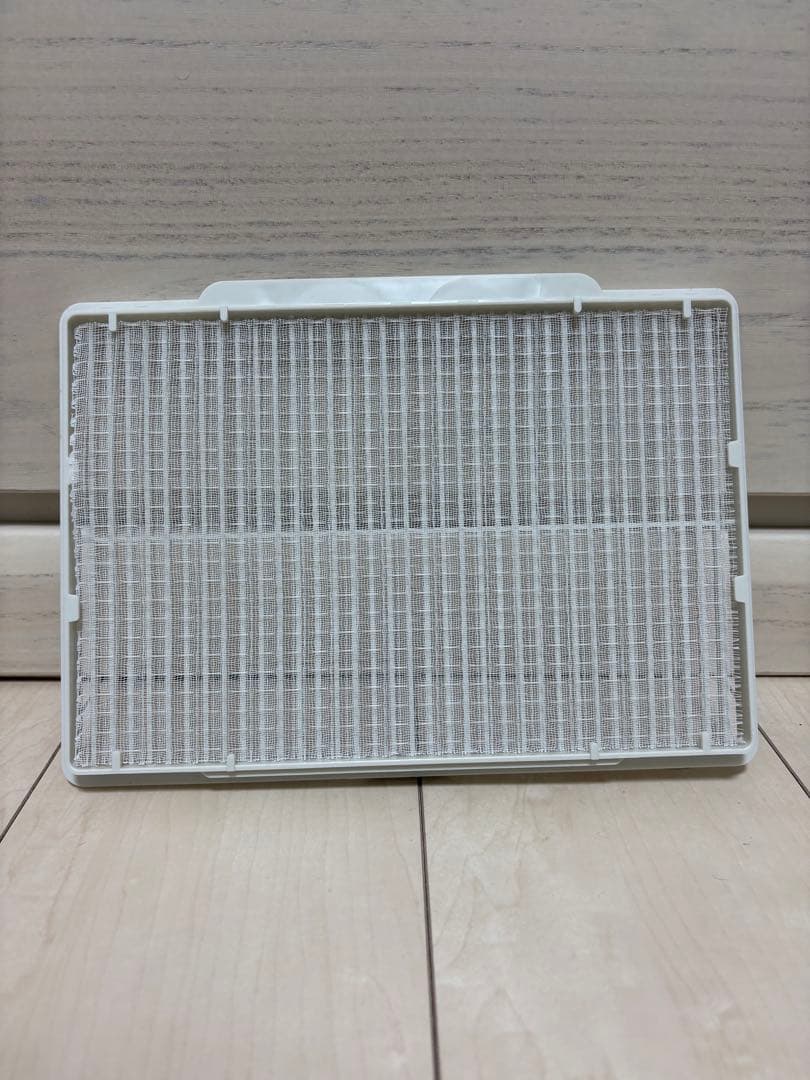 2019年製　コロナ：冷風・衣類乾燥除湿機(スカイブルー)/CDM-1019