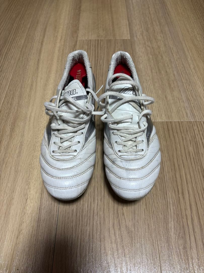 ミズノ モレリア DNA MIX