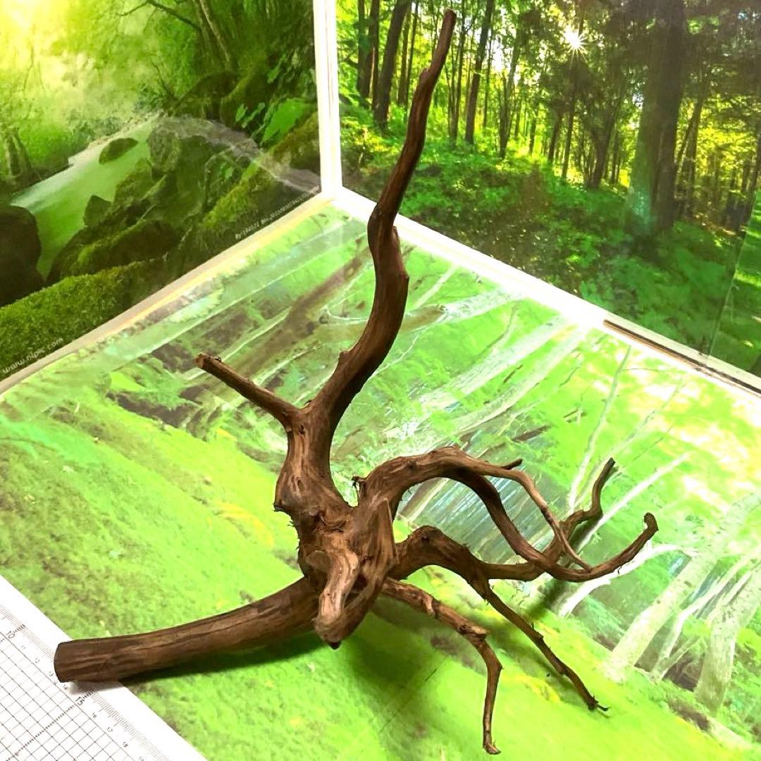 ドロリッチなう様 リクエスト 3点 まとめ商品