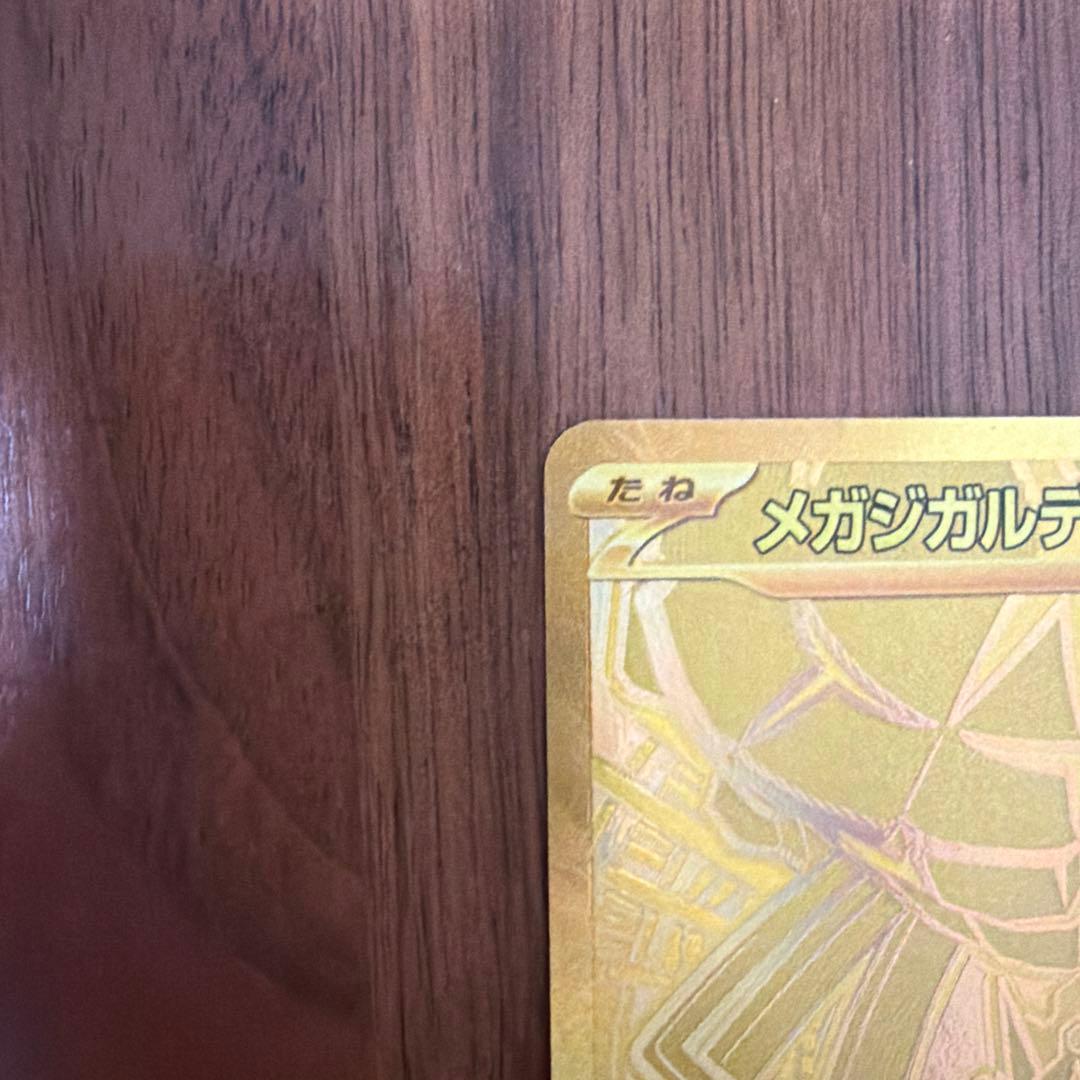 ♪*♪様 メガジガルデex