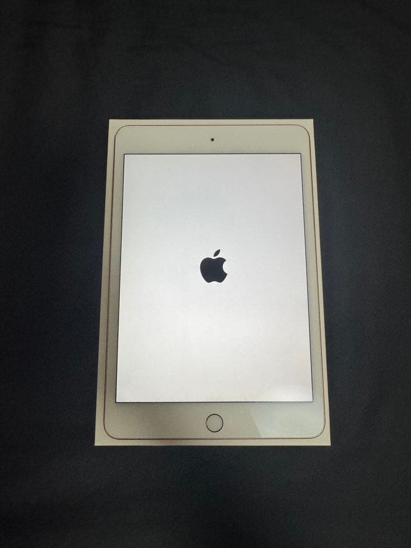 箱あり iPad mini 第5世代 64GBwifiモデル