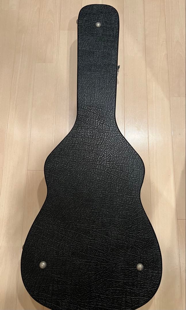 Fender エレアコ Ice Blue未使用品 ハードケース ソフトケース付き