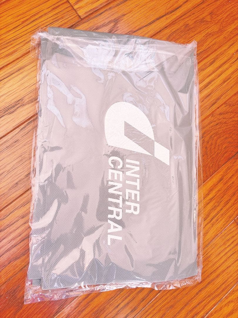 インターセントラル SERAPHY 電気ヒーター 700W