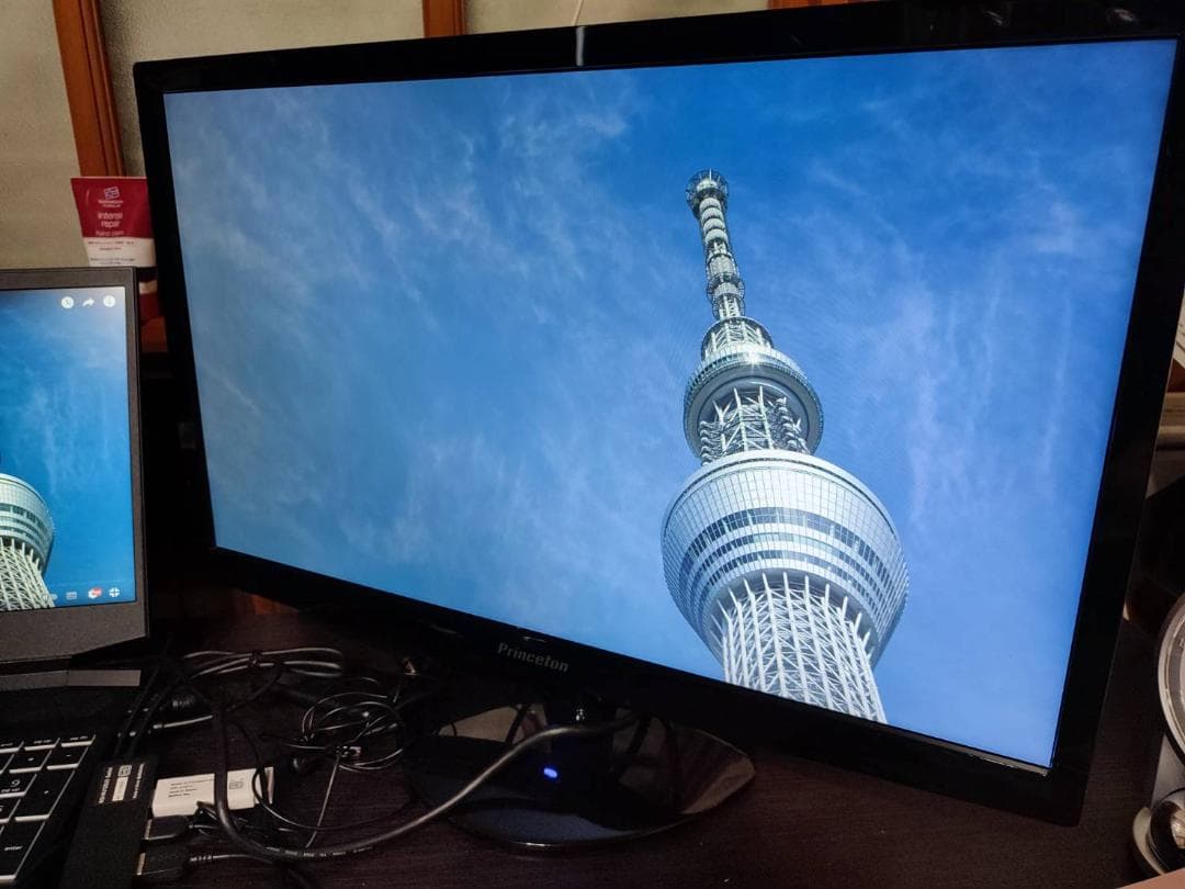 モニター　PTFBIF-22W