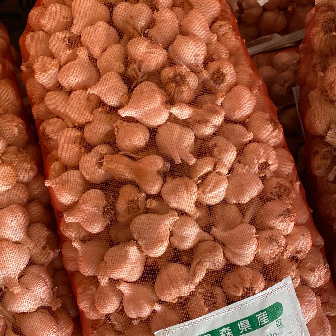 新物　青森県にんにく10Kg SS