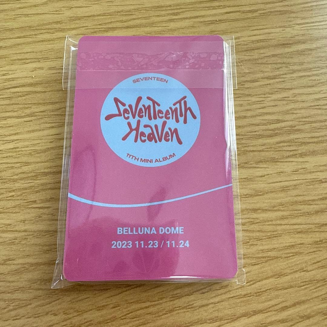 SEVENTEEN HAVEN ベルーナドーム13枚コンプセット