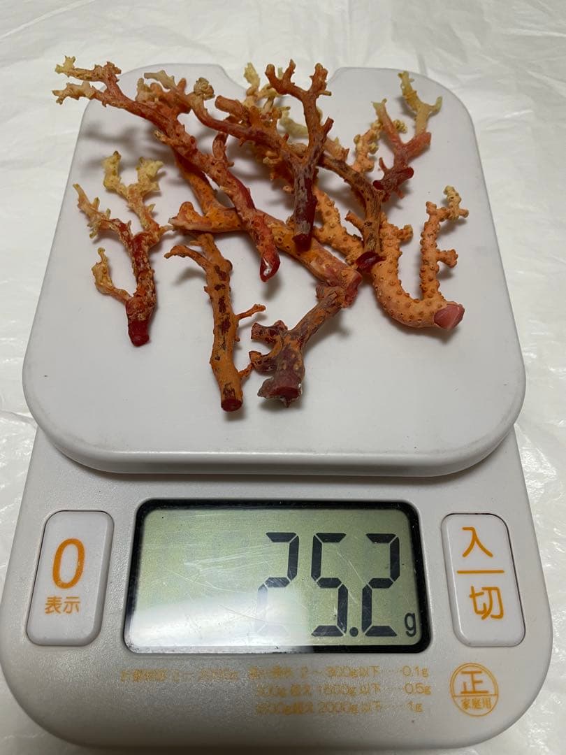 珊瑚サンゴ,赤珊瑚原木の置物