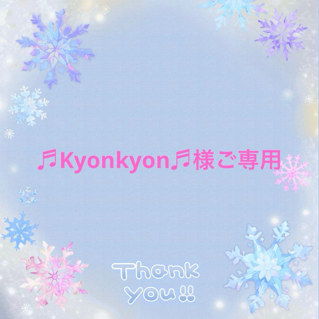  CANIN ドライ・ウェットフードセット 2kg + 85g×60袋