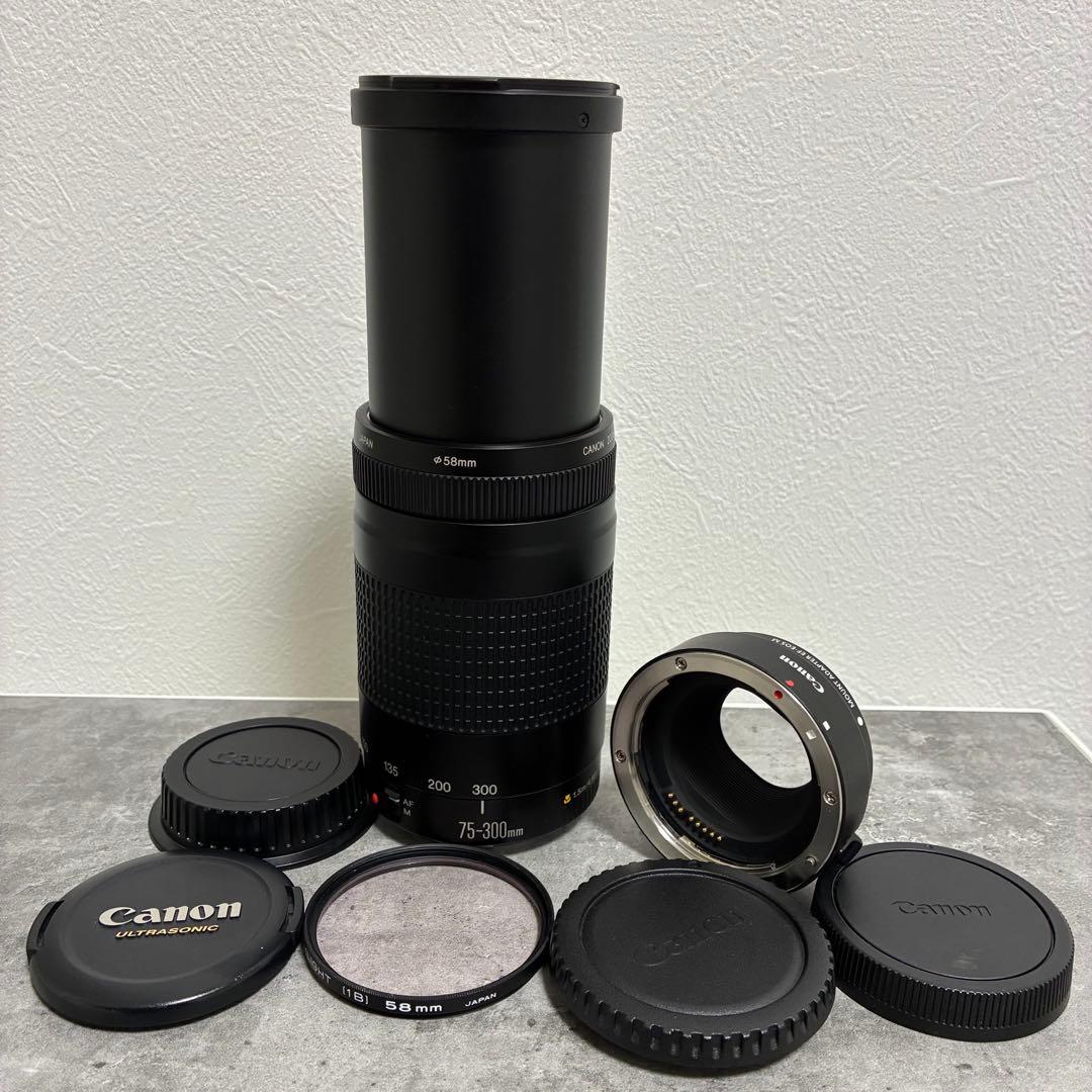 ⭐️美品⭐️Canon EF 75-300 II & EF-EOS M アダプター