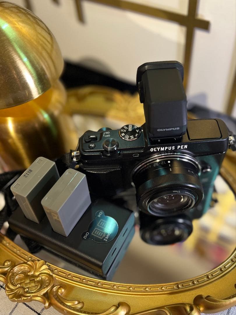 OLYMPUS PEN E-P5 VF-4外付けファインダー LUMIXセット