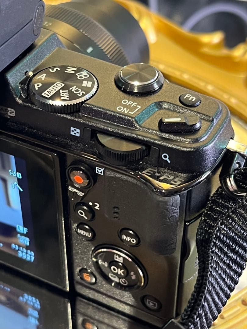 OLYMPUS PEN E-P5 VF-4外付けファインダー LUMIXセット