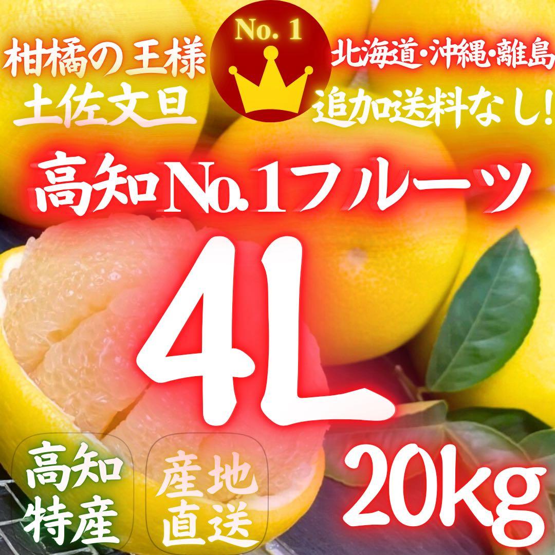 4高知特産 露地栽培 土佐文旦 4L限定 文旦 約20kg 大玉 サイズ