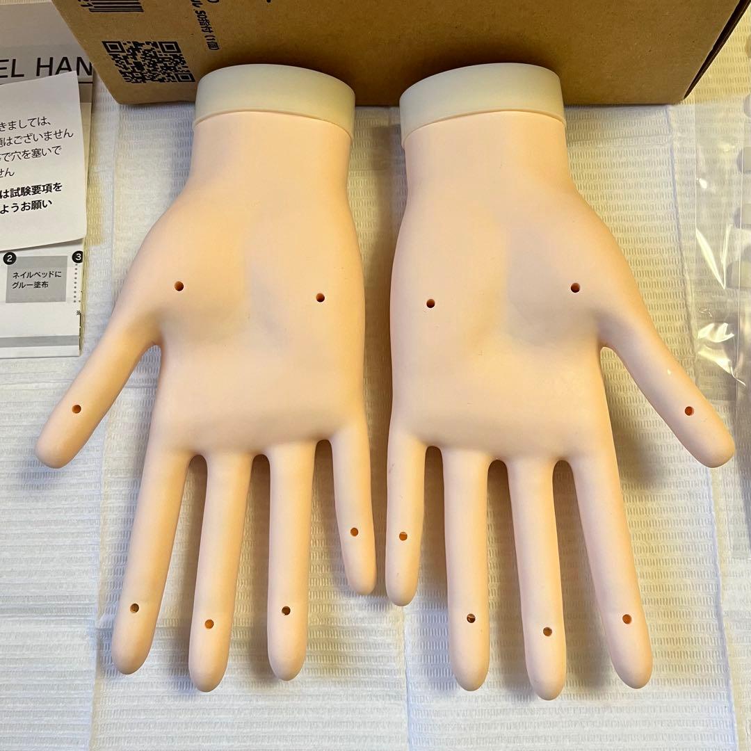 【JNEC認定モデルハンド】骨折なし　箱付き