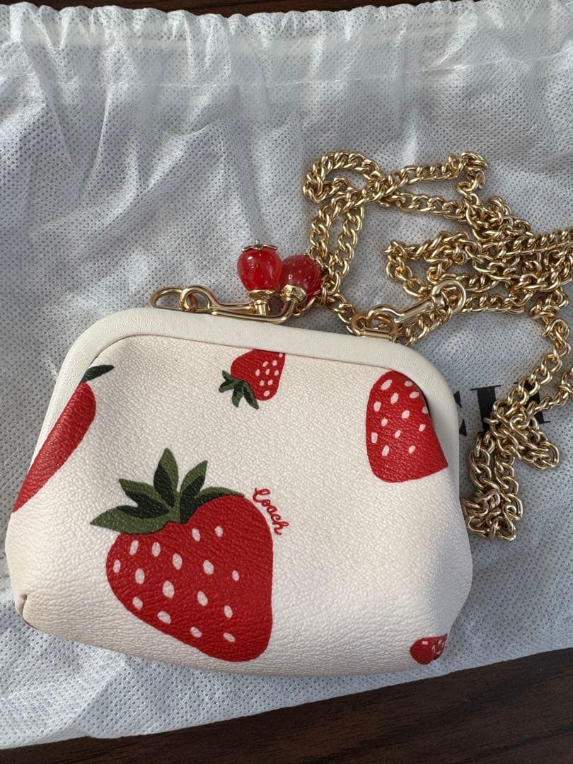 【Alex】COACH いちご柄 ケース