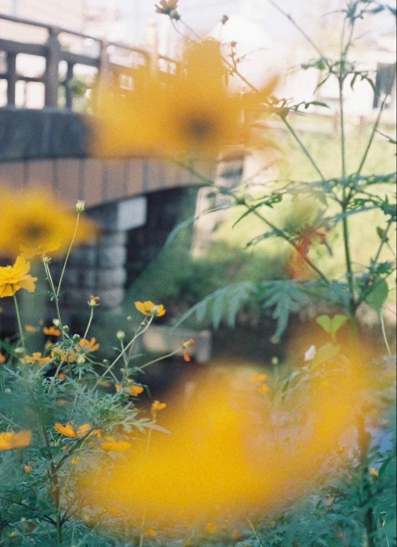 OLYMPUS コンパクトフィルムカメラ E.Zuikoレンズ　ストラップ付き