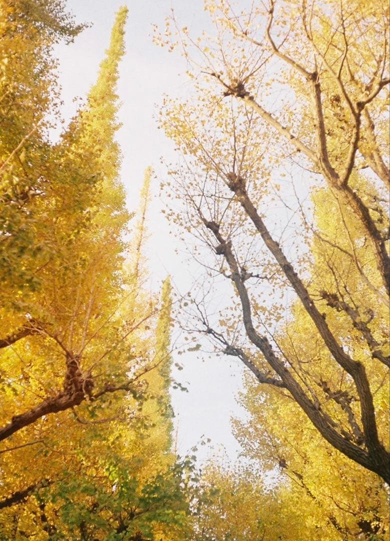 OLYMPUS コンパクトフィルムカメラ E.Zuikoレンズ　ストラップ付き