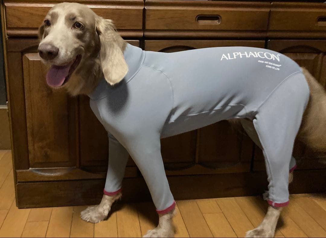 大型犬。ALPHAICON ホットドックガードXL