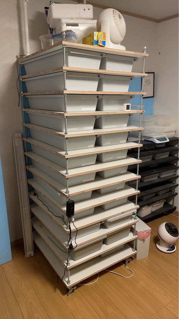 スネークラック