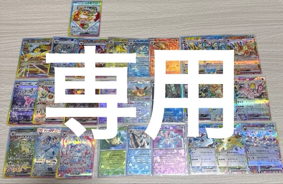 テラスタルフェス まとめ売り ブイズコンプ