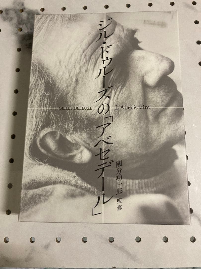 シルドゥルースの「アベセデール」　DVD 國分功一郎監修