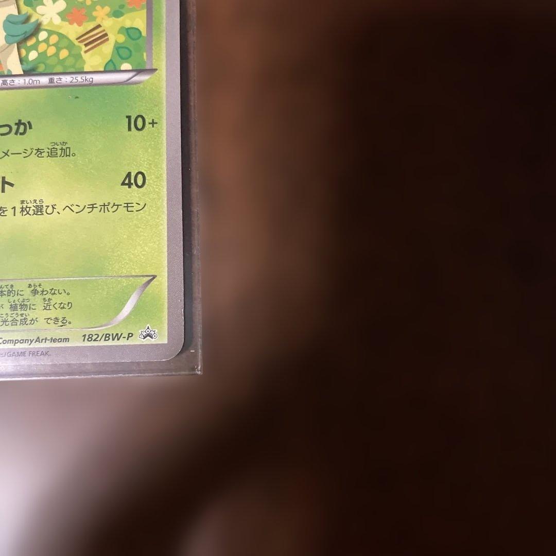 リーフィア プロモ ポケモンカード 182/BW-P