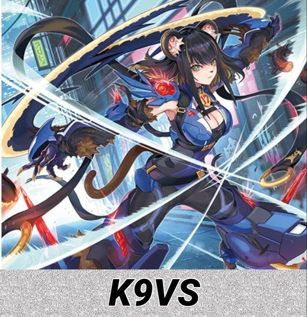 K9VSデッキ