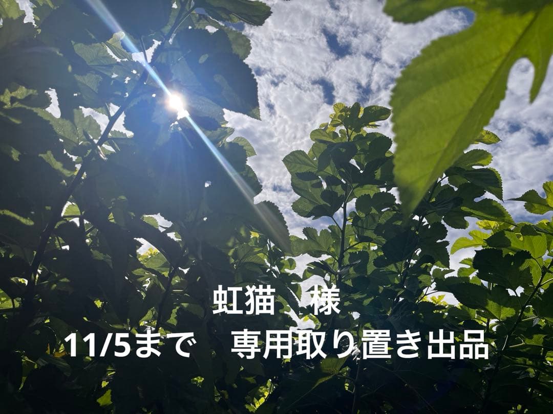 アメジストバングル　ラピスラズリバングル　シトリンバングル　57mm