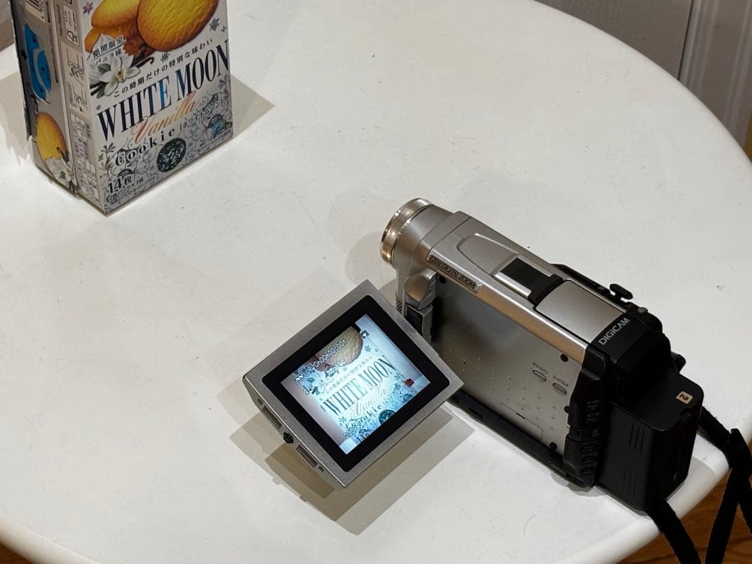 Panasonic NV-DB1 デジタルビデオカメラ MiniDV シルバー