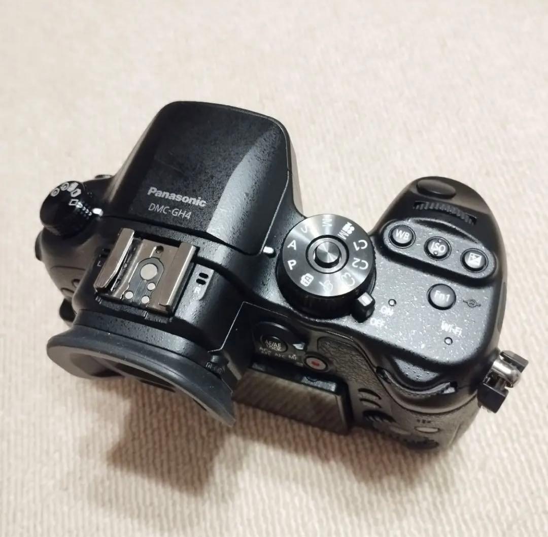 LUMIX GH4 レンズセット14-140mm