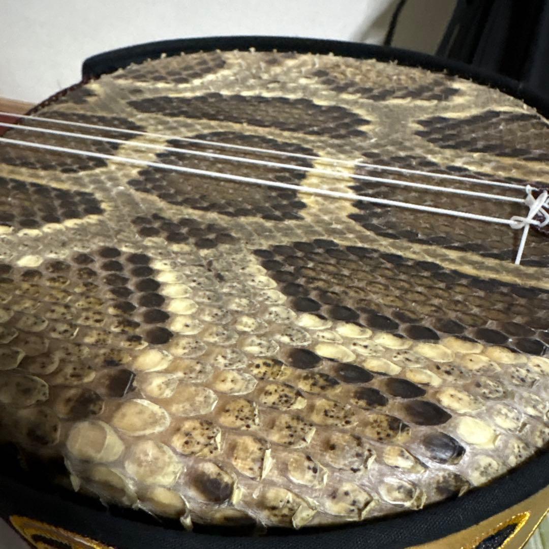 三線 蛇三線 本皮 本革 蛇皮 蛇革 三味線 琉球 沖縄 楽器　ソフトケース付き