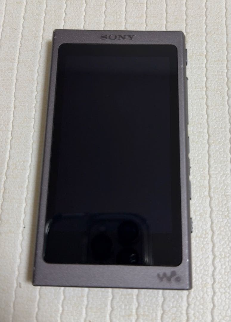 SONY ウォークマン　NW-A45HN デジタルオーディオプレーヤー