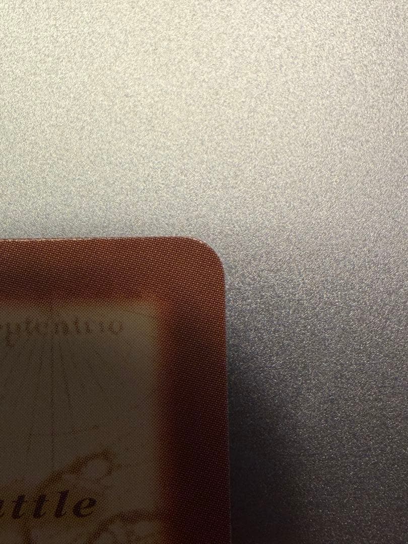 ルフィ海賊団 花火見物 S101 ワンピース　カードダス