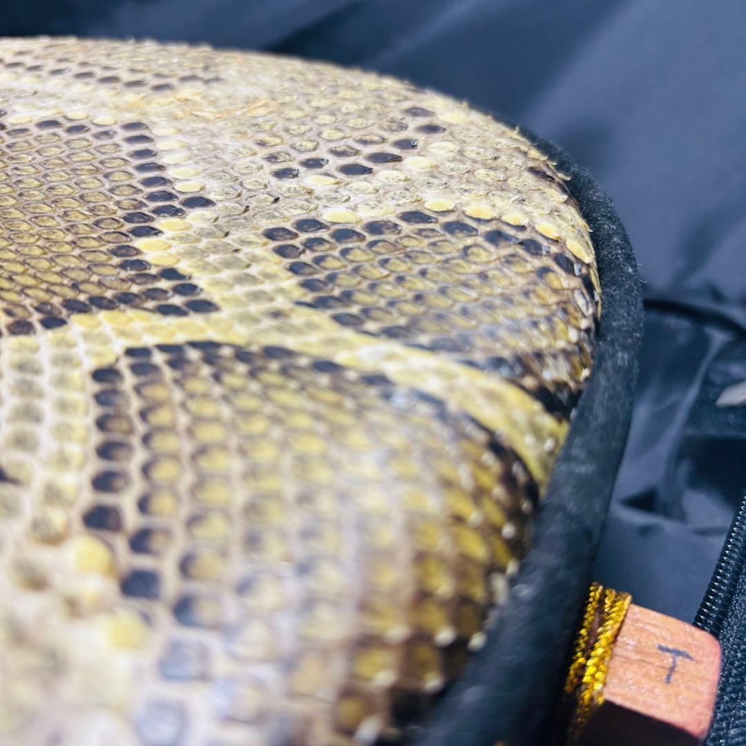 【美品】沖縄 三線 本蛇皮 三味線 ケース付き 初心者 入門