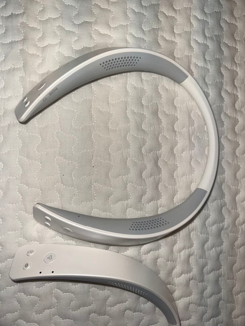 Panasonic ネックスピーカー SC-WN10 2個セット