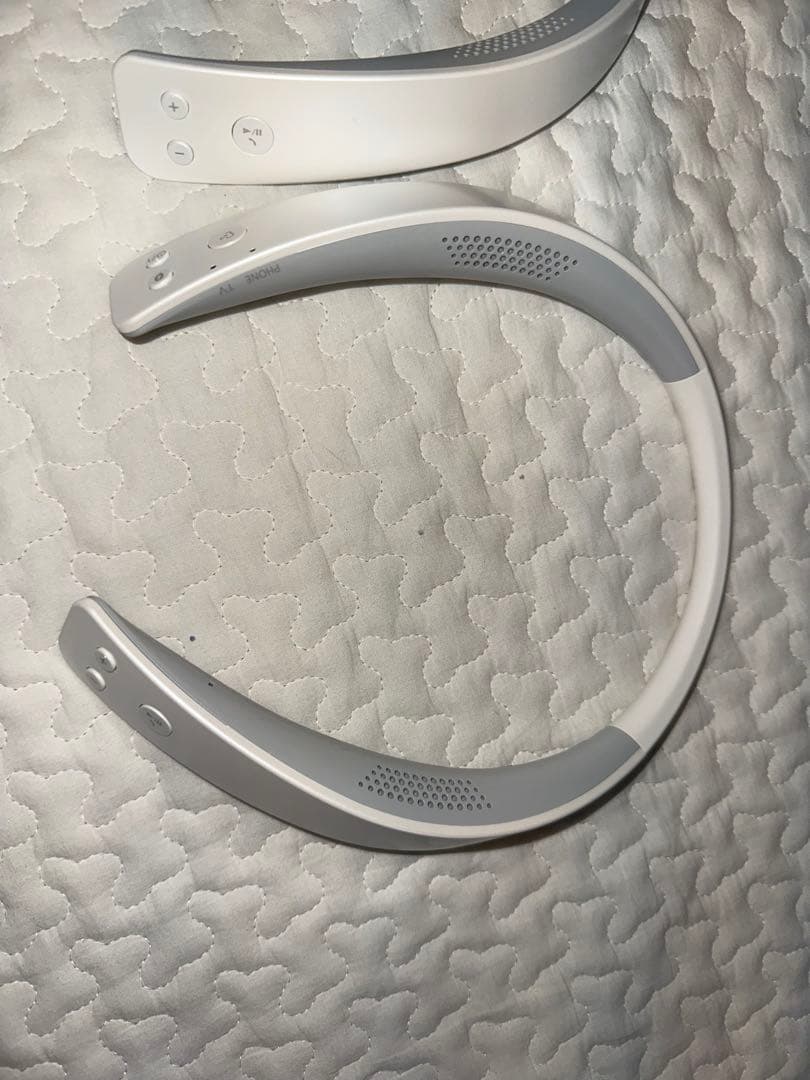 Panasonic ネックスピーカー SC-WN10 2個セット