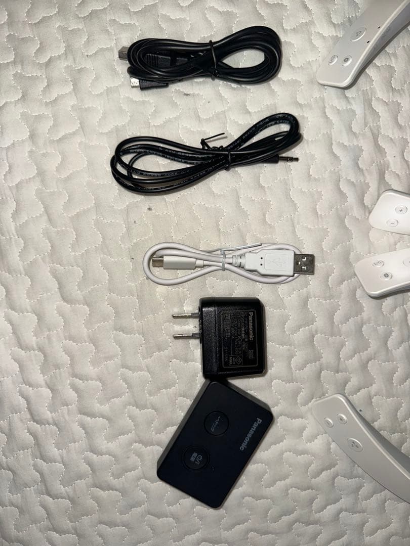 Panasonic ネックスピーカー SC-WN10 2個セット