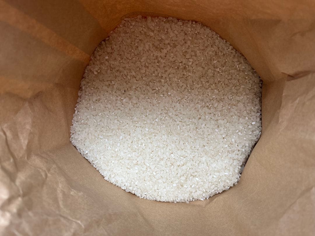 令和7年産　なつほのか　新米15kg 農家直送