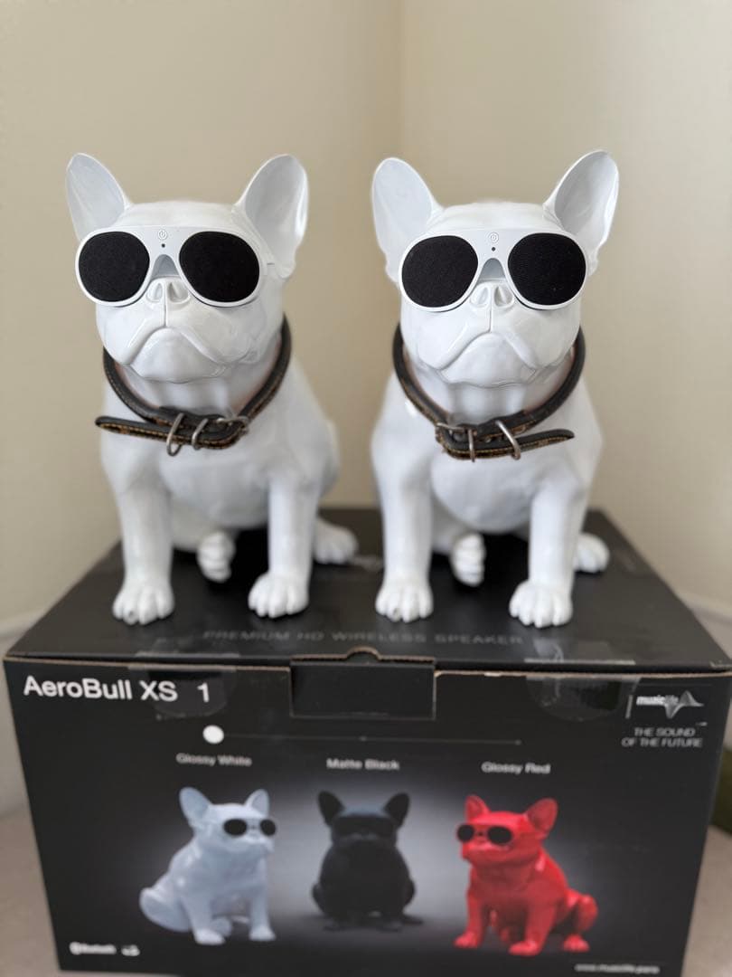 AeroBull XS ワイヤレススピーカー グロッシーホワイト